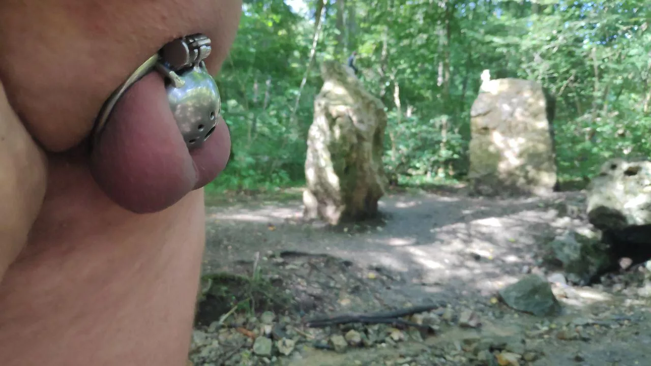 sometimes the little knight also wants to see the world