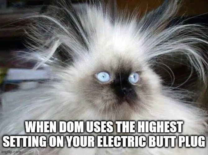 Sounds like a fun kink to have.