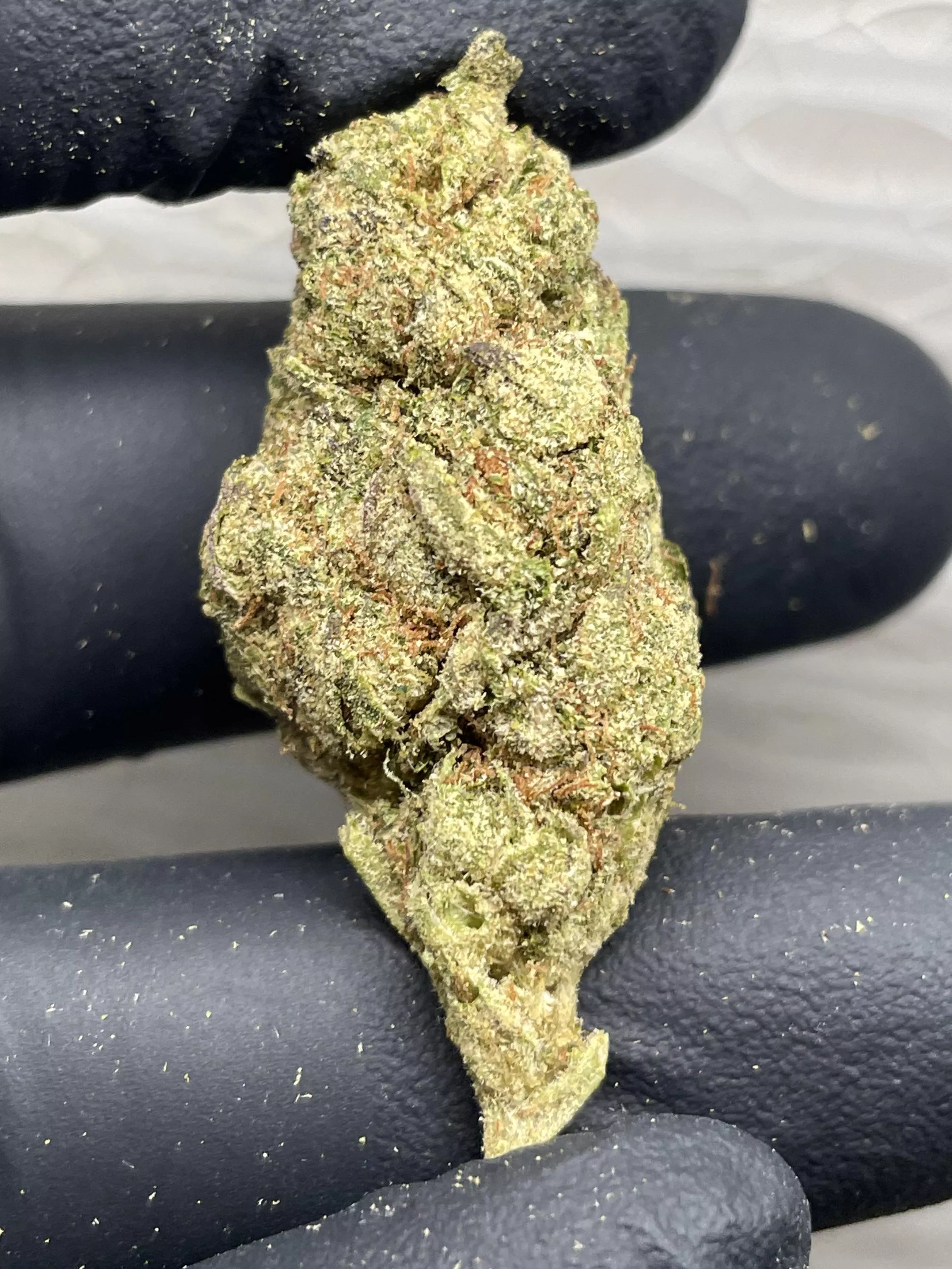 Sour Diesel 🍋‍🟩⛽️(sativa)