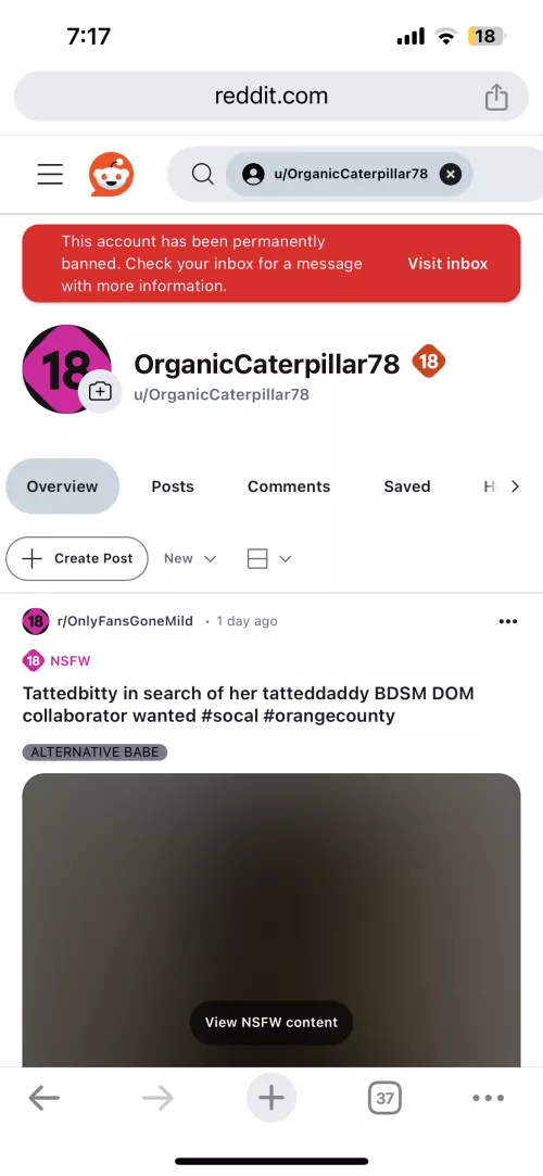 Tattedbitty at it again getting my reddit privileges taken away new acc for meet$