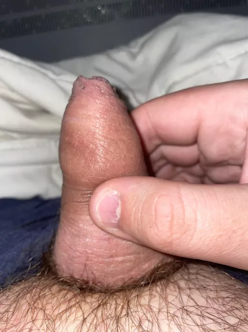 What you think ? ( dm open ) 