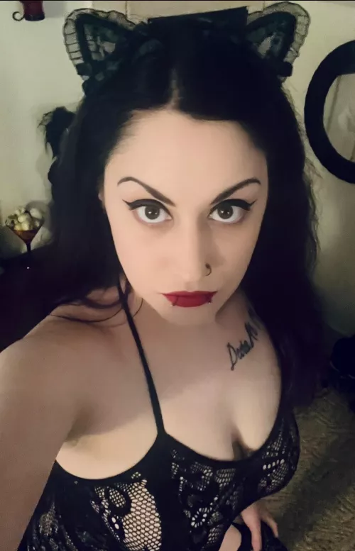 Who doesn’t love a goth kitty? 