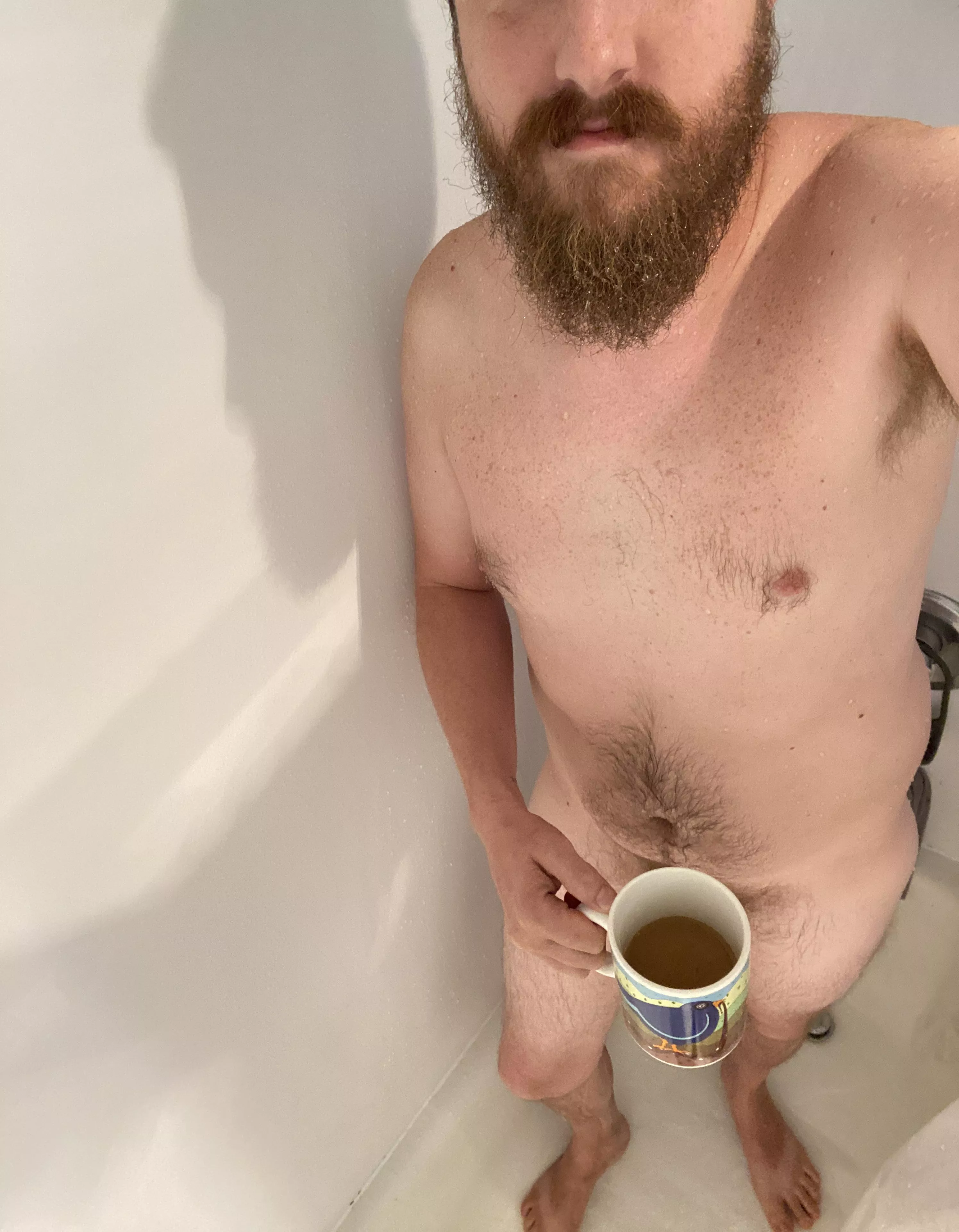 [wpc]Early bird gets the worm