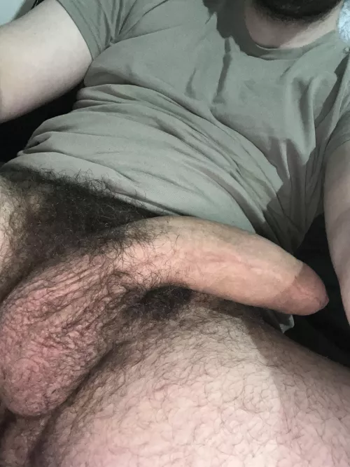 You horny for a hung hairy stinky alpha?😈💪🏼
