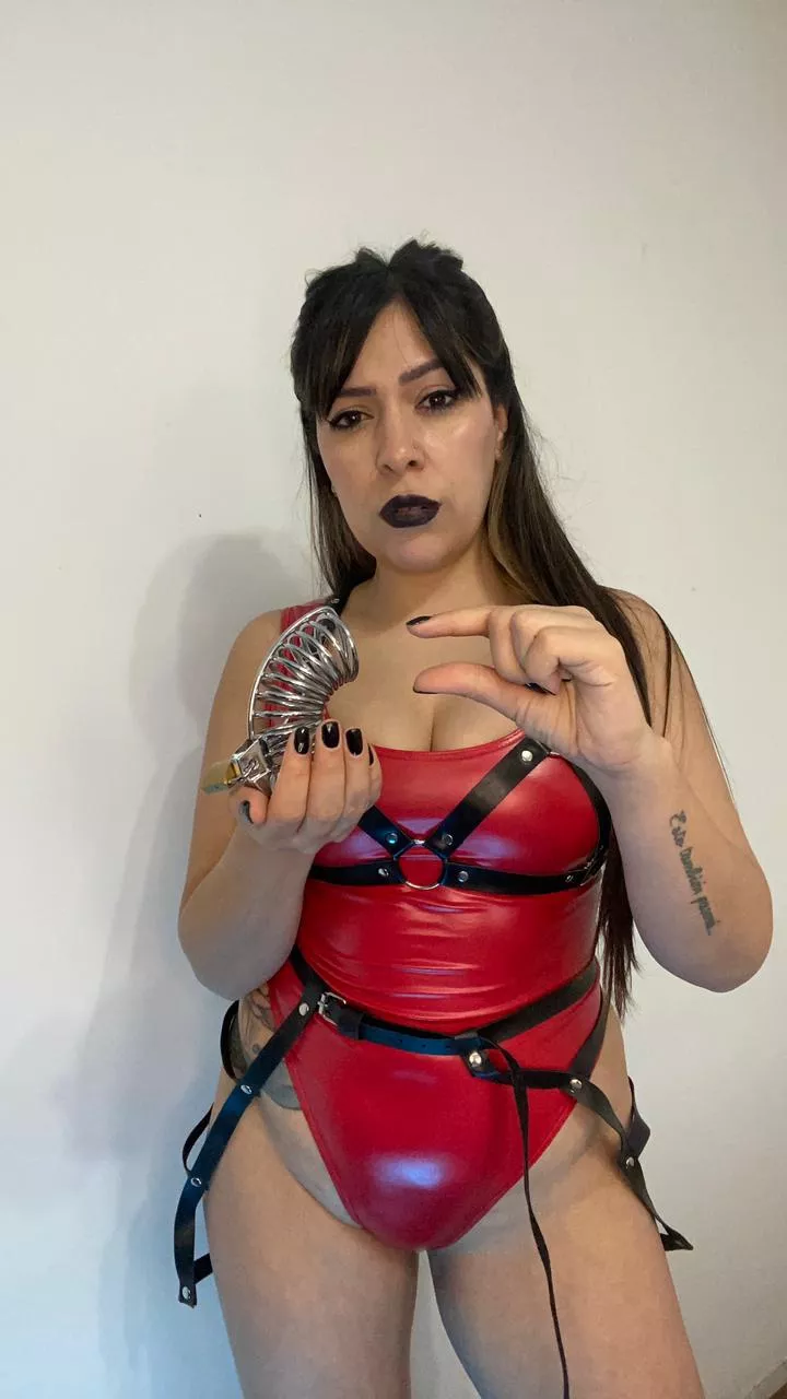 Your ugly dick is so small that it should be caged!