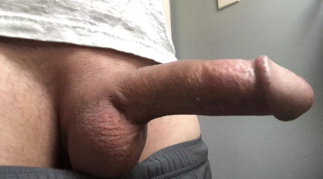 36 M for hotwife on nw side or nw burbs