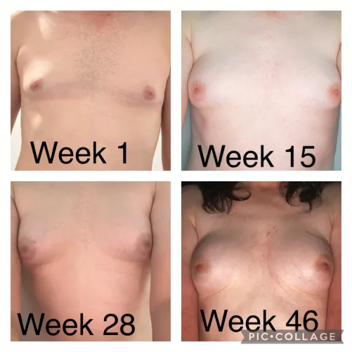 46 week’s Timeline