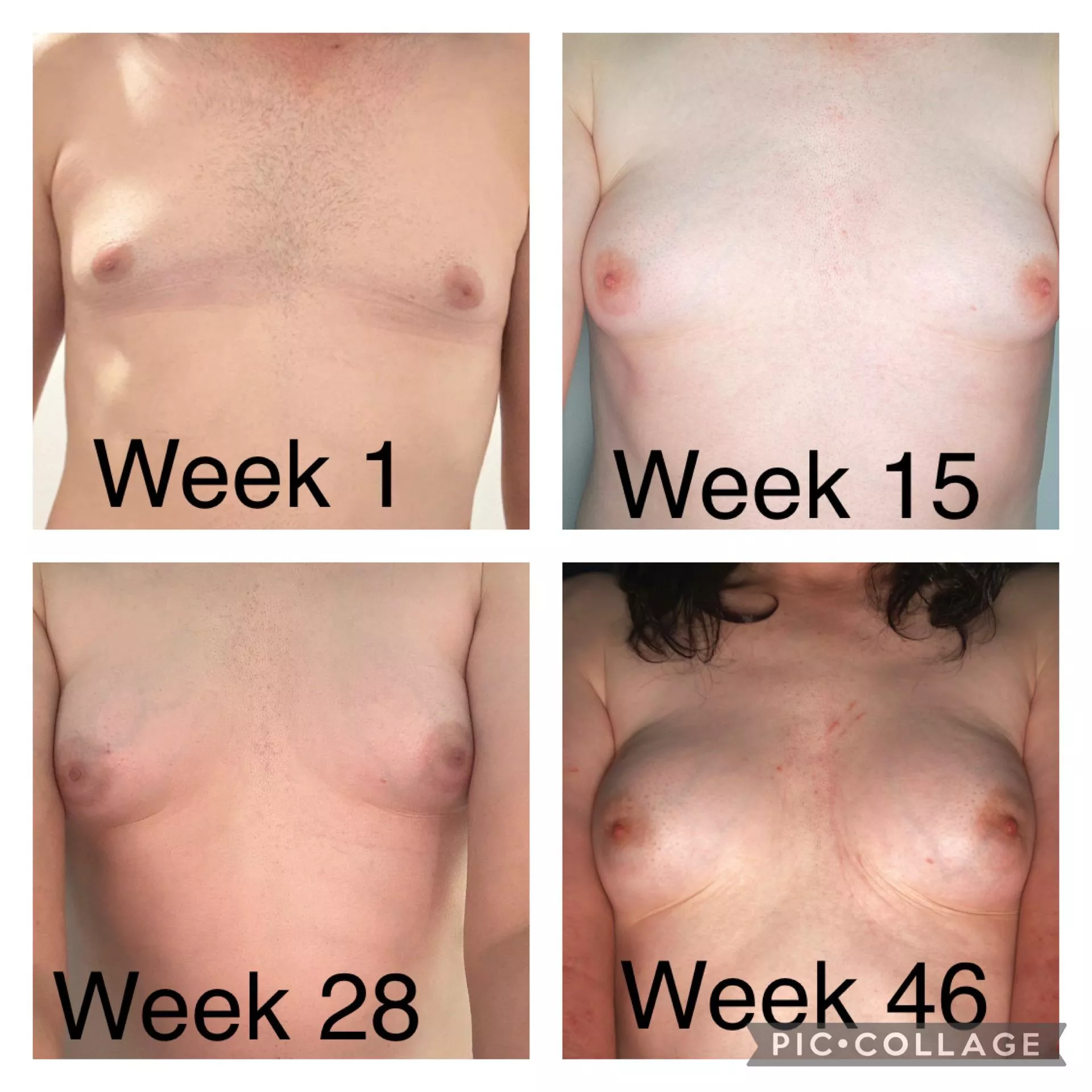 46 week’s Timeline