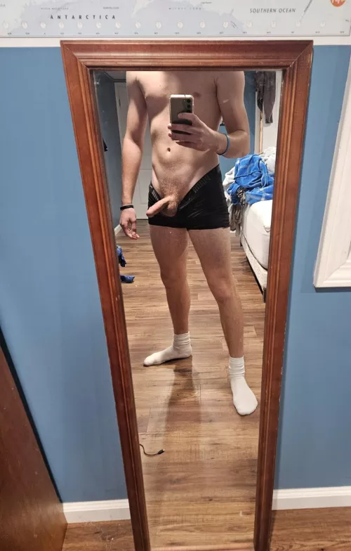 any ladies or couples that want an oakland county bull