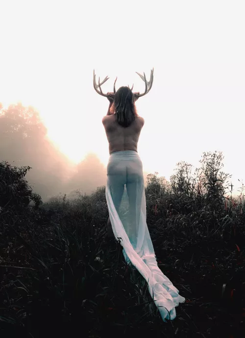 Any🦌Hunters here?