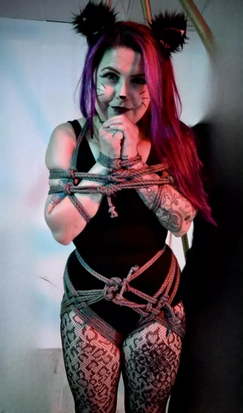 Belated Halloween post 🎃🐈‍⬛🪢