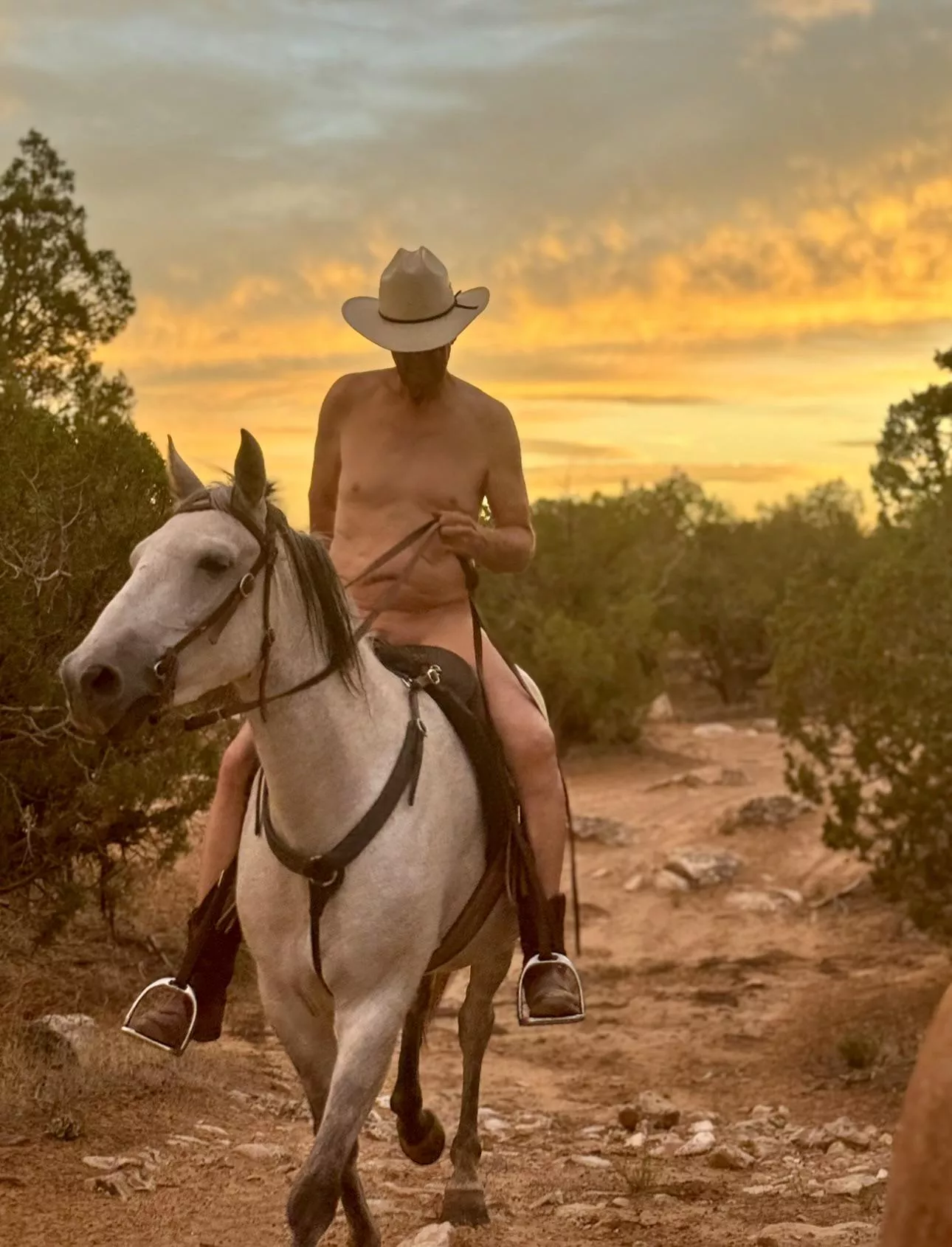 Blanketed in a summer sunset 