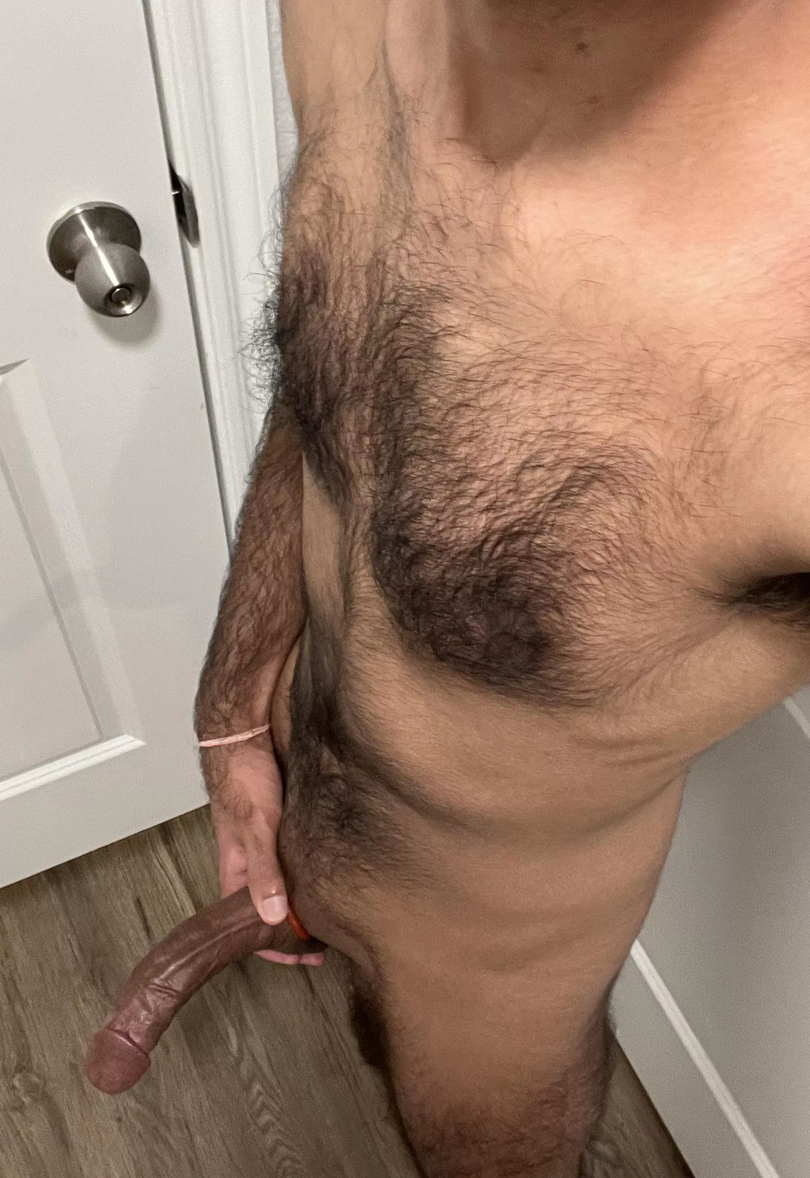 Bull north Austin available tonight 