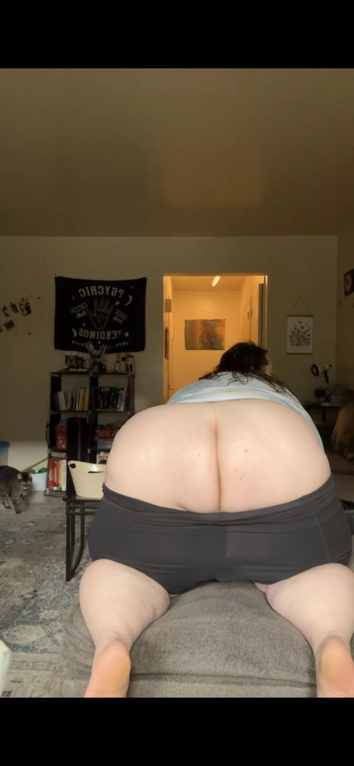 Can i sit on your face ?