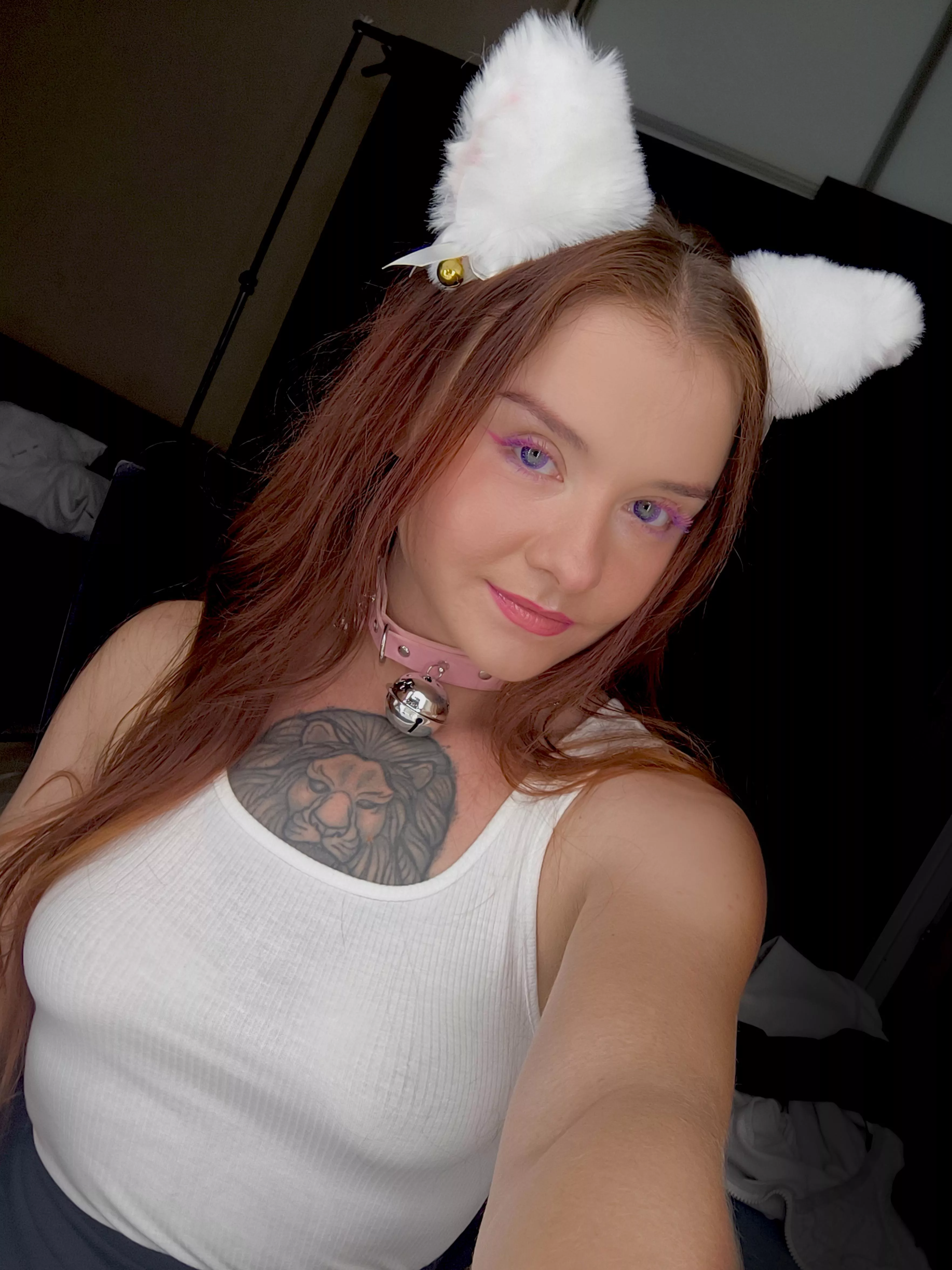 Do you like nerdy kittens ? 