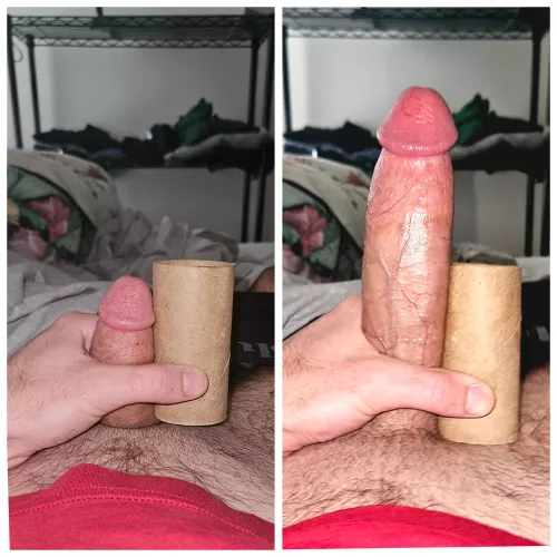 Early bird gets the worm