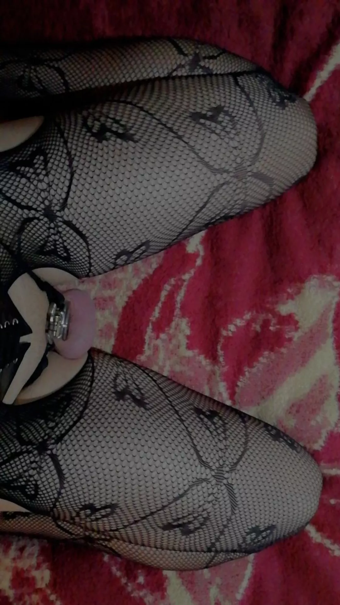 Flat cages are so cute :3