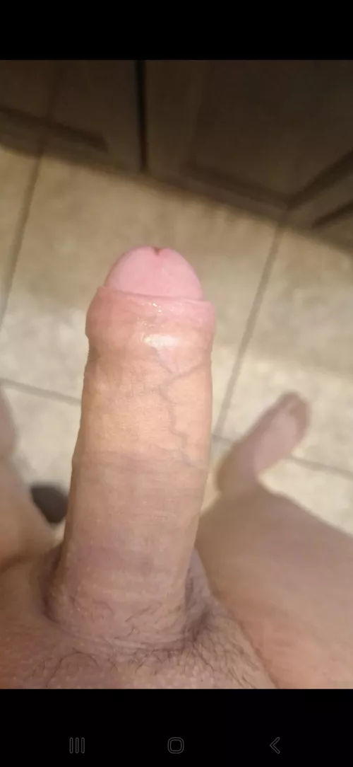 Home from the bar....