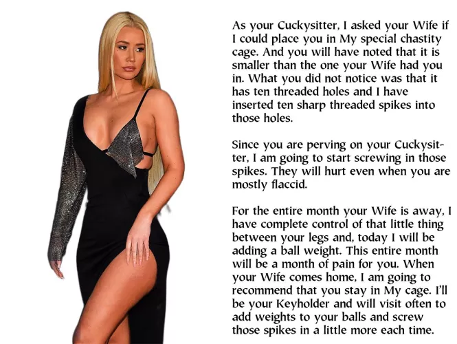 Iggy is your cuckysitter