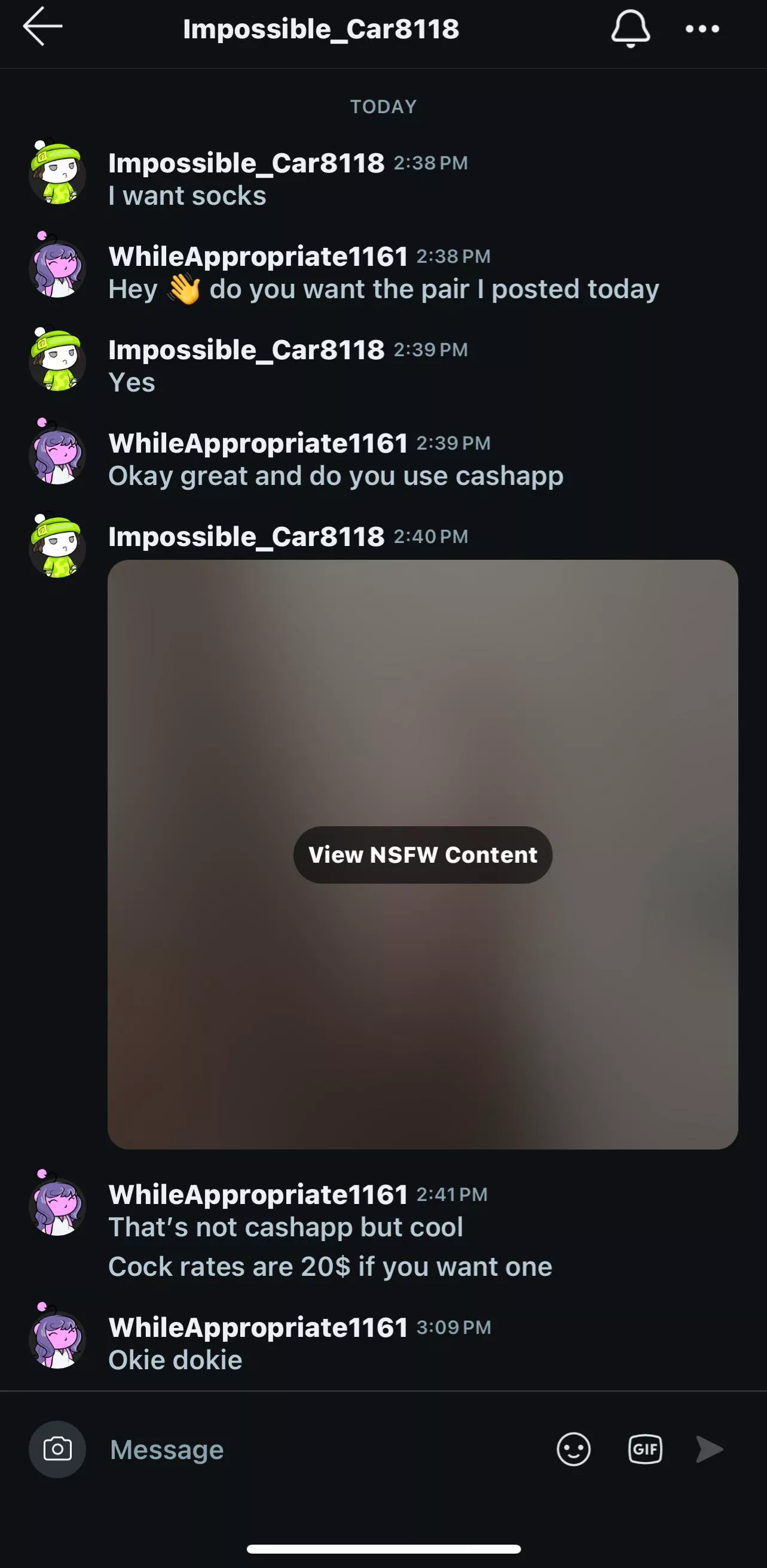 Impossible_Car8118 flasher and time waster. Messages under the guise of buying socks 