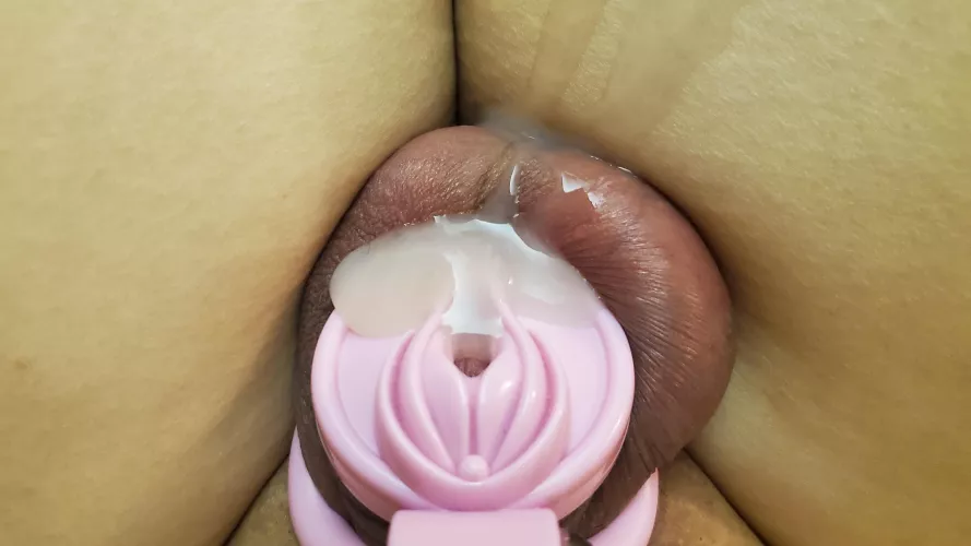 It is the pussy that I can only creampie