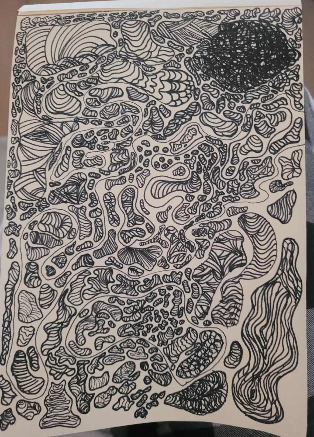 Little Squiggles i Did ✨️