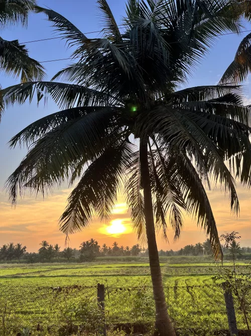 M -25 Read below ! Any female for one day bike trip  ? Bangalore[m]