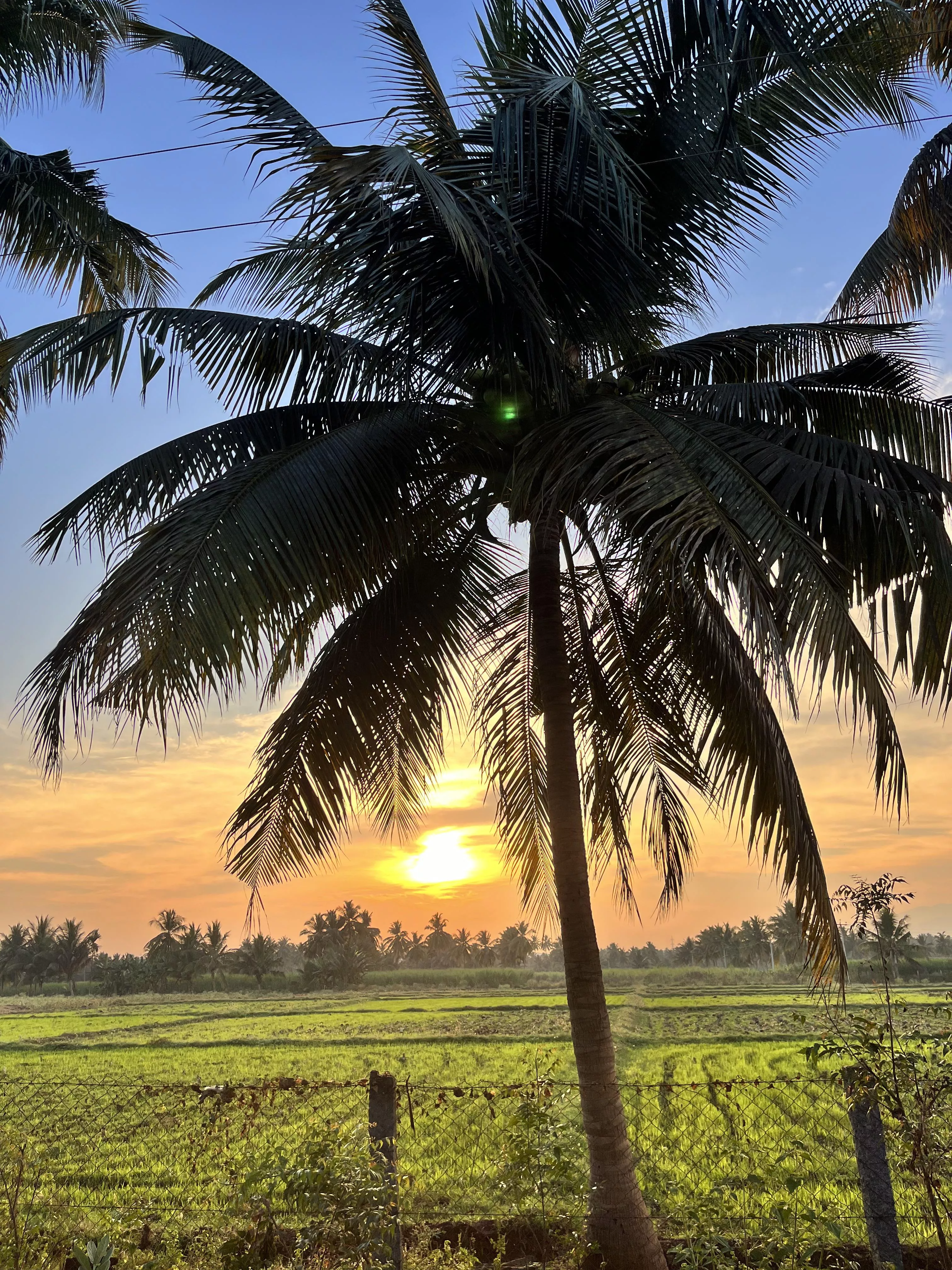 M -25 Read below ! Any female for one day bike trip  ? Bangalore[m]