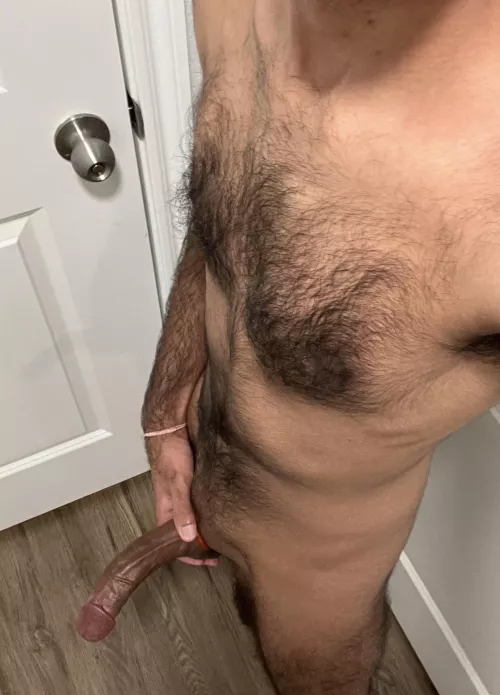 M26 bull available tonight 