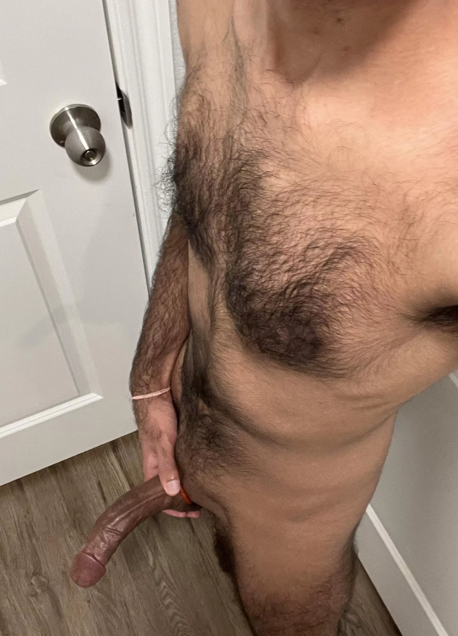 M26 bull available tonight 