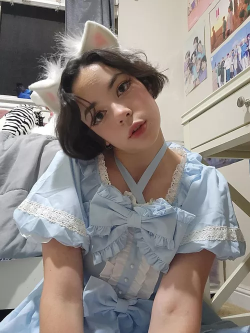 Not a single thought behind those puppy eyes