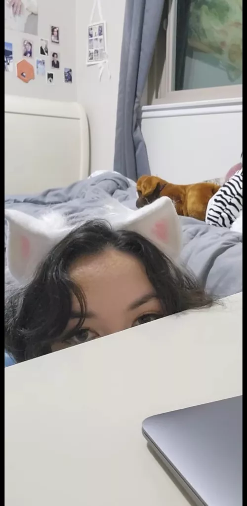 POV: Puppy distracting you while you work 