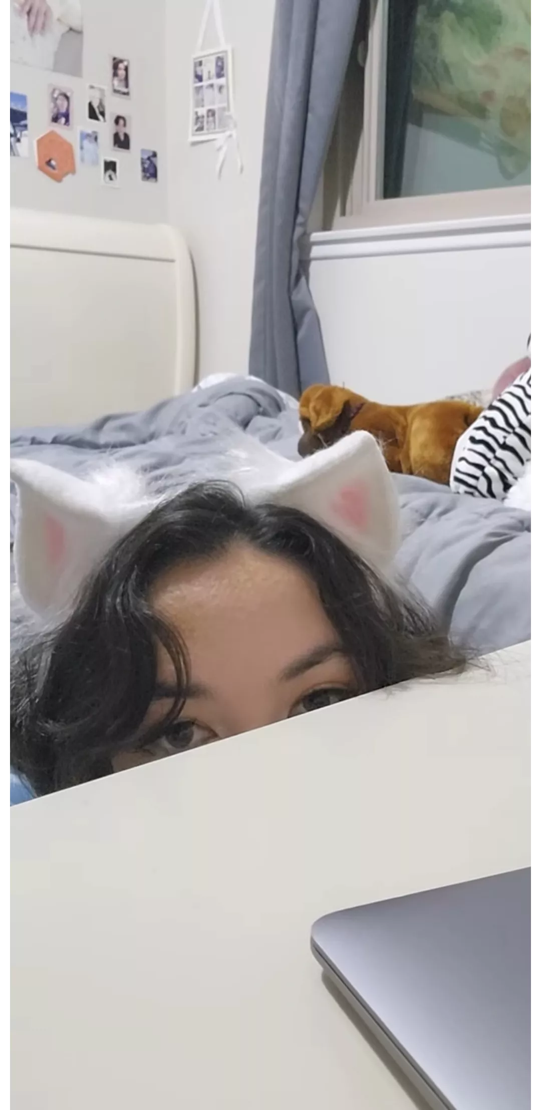 POV: Puppy distracting you while you work 