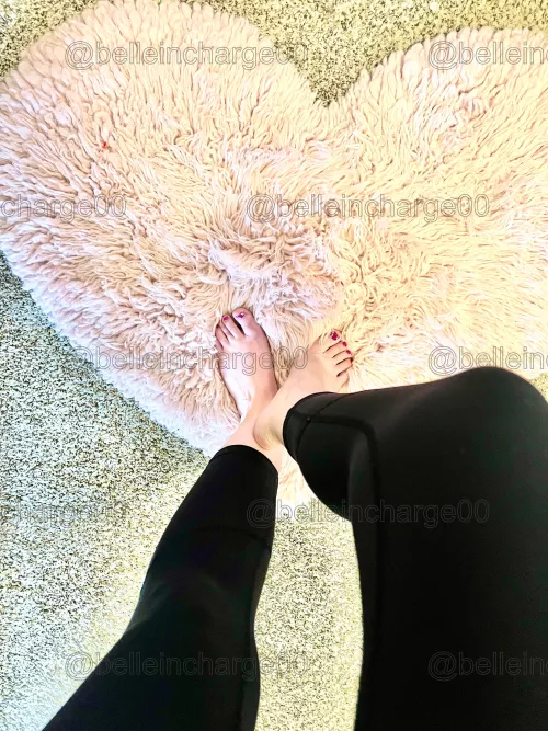 Princess wants new pups step forward if you dare. 👑🤭