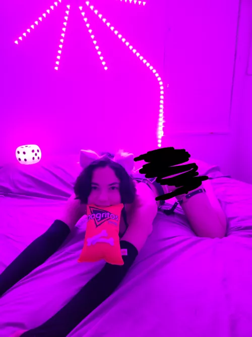 Puppy with her favorite toy, ready to play 