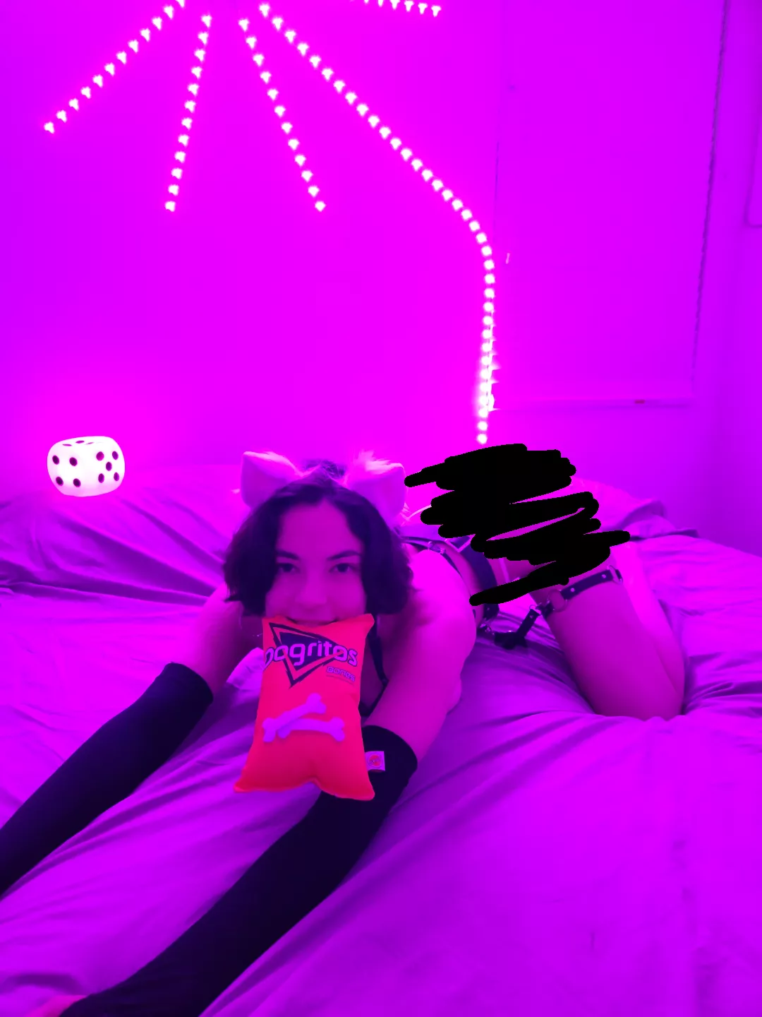 Puppy with her favorite toy, ready to play 