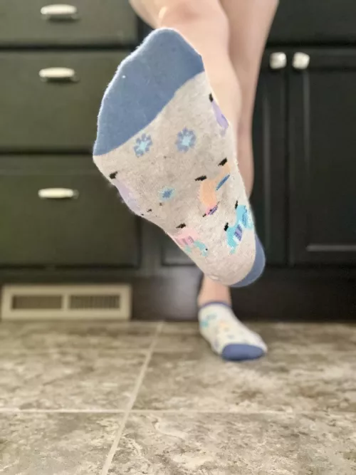 Some dirty yet adorable llamas 