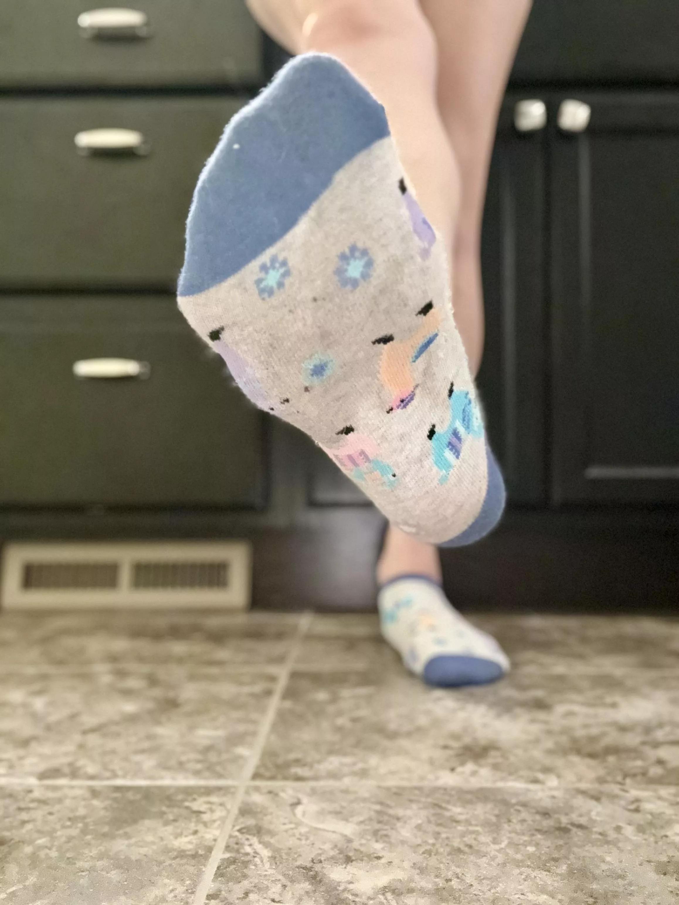 Some dirty yet adorable llamas 