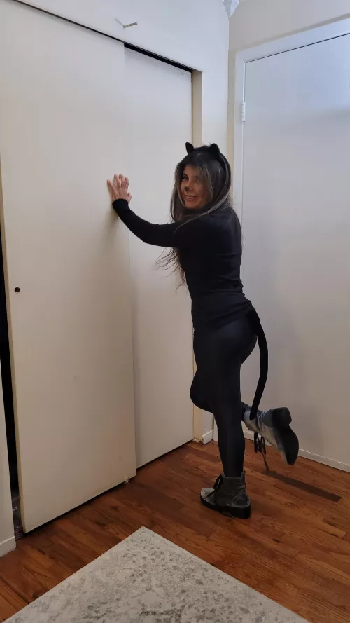 This Kitty wants 🍬 and 🍭 