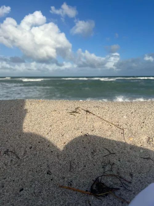 Windy but Sunny again! Yay!