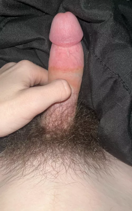 (18) new to posting lol. Have never trimmed before, should I?
