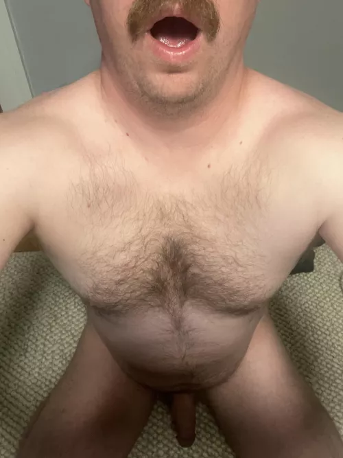 34 [M4M] Looking for a guy who wants to cum down my throat. Older guys and virgins are especially hot 😈
