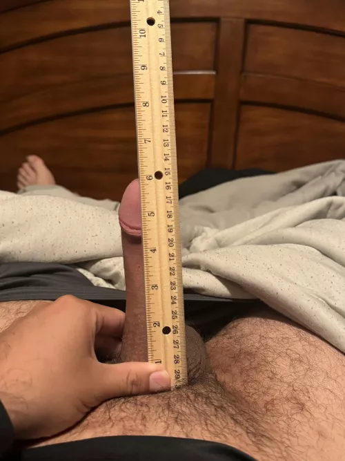 6in is average right? 