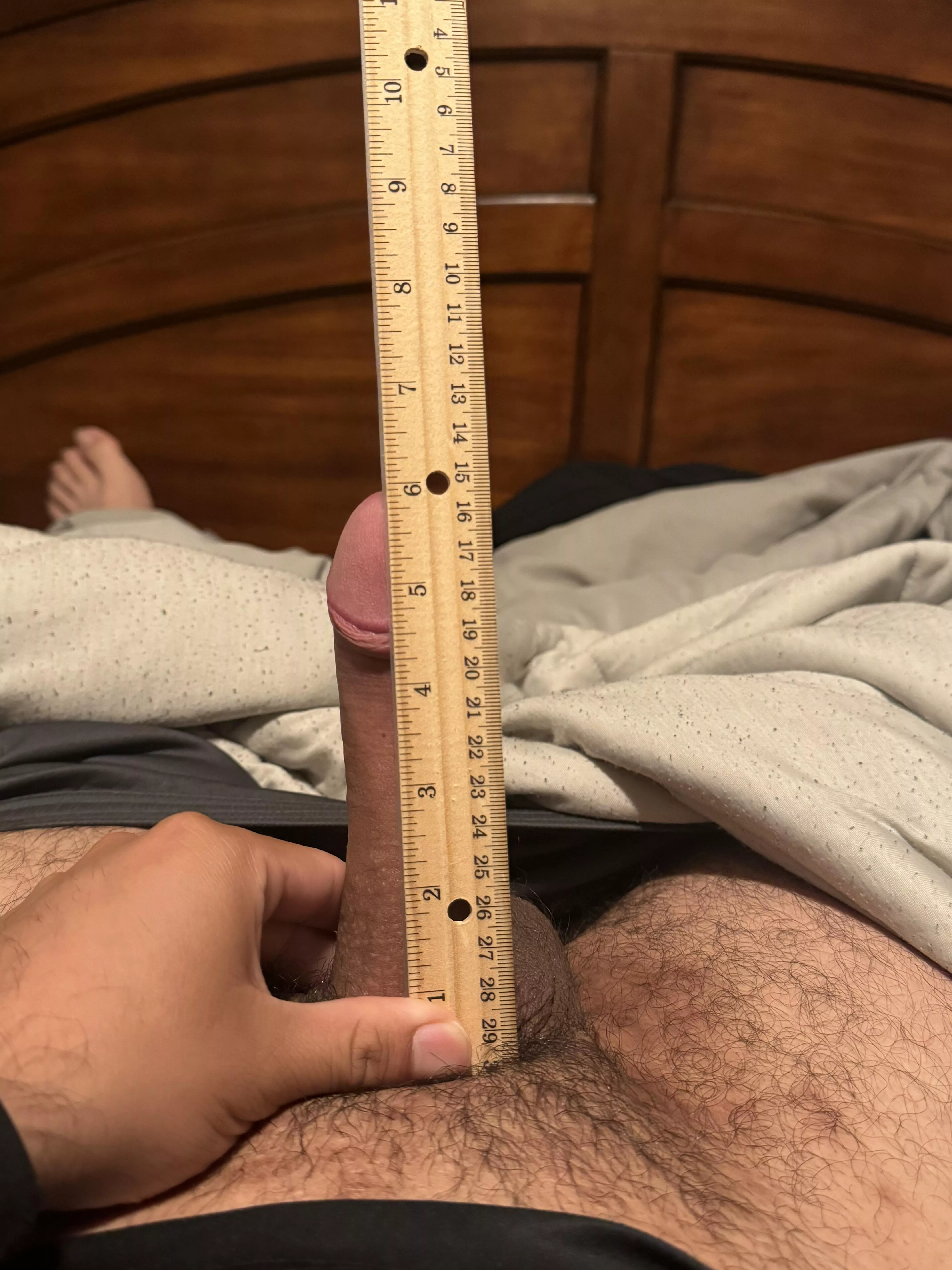 6in is average right? 