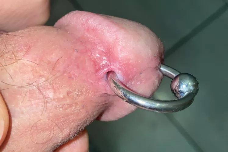 8g PA & 6g chastity cage