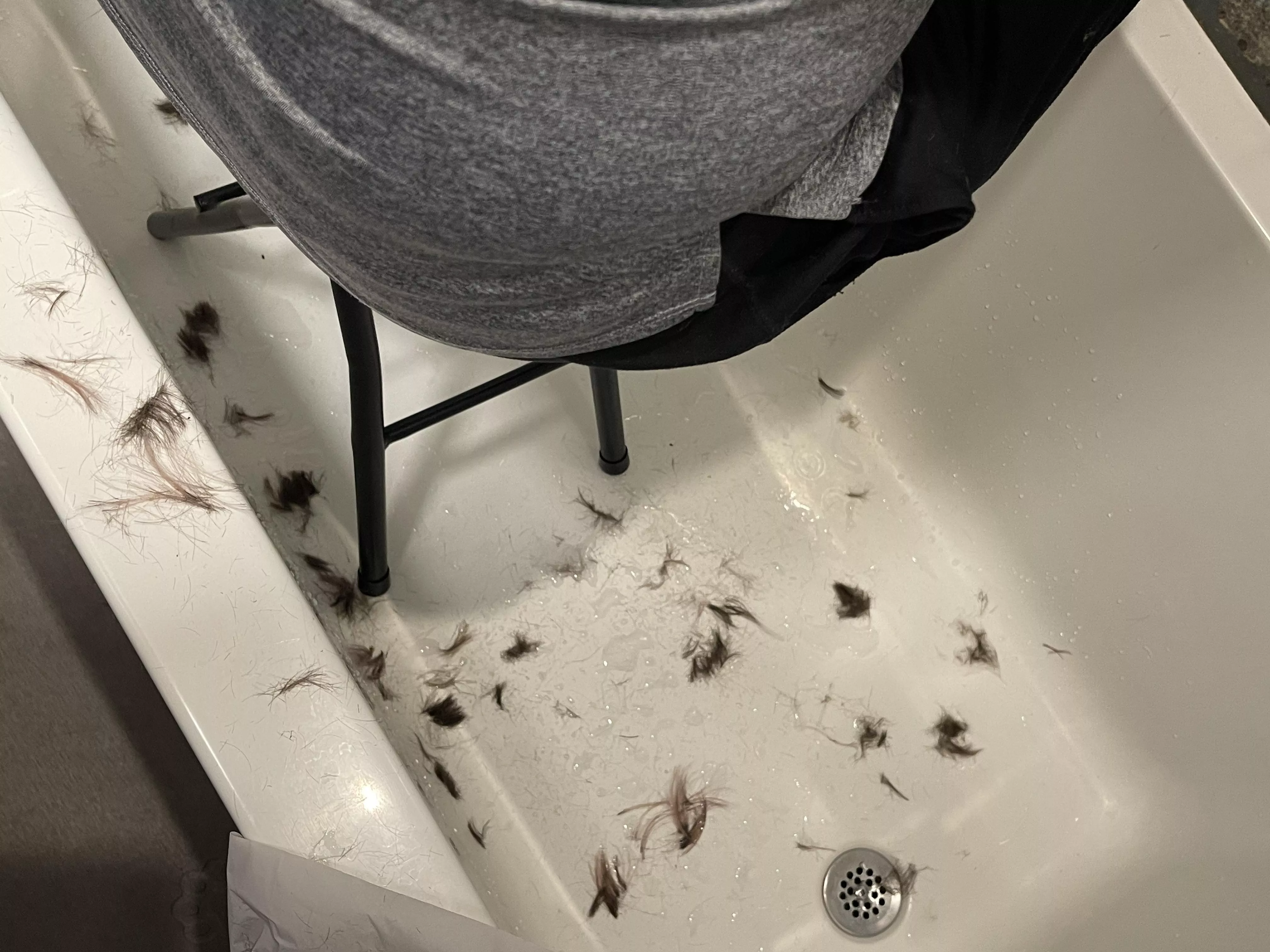 A little impulse decision tonight 