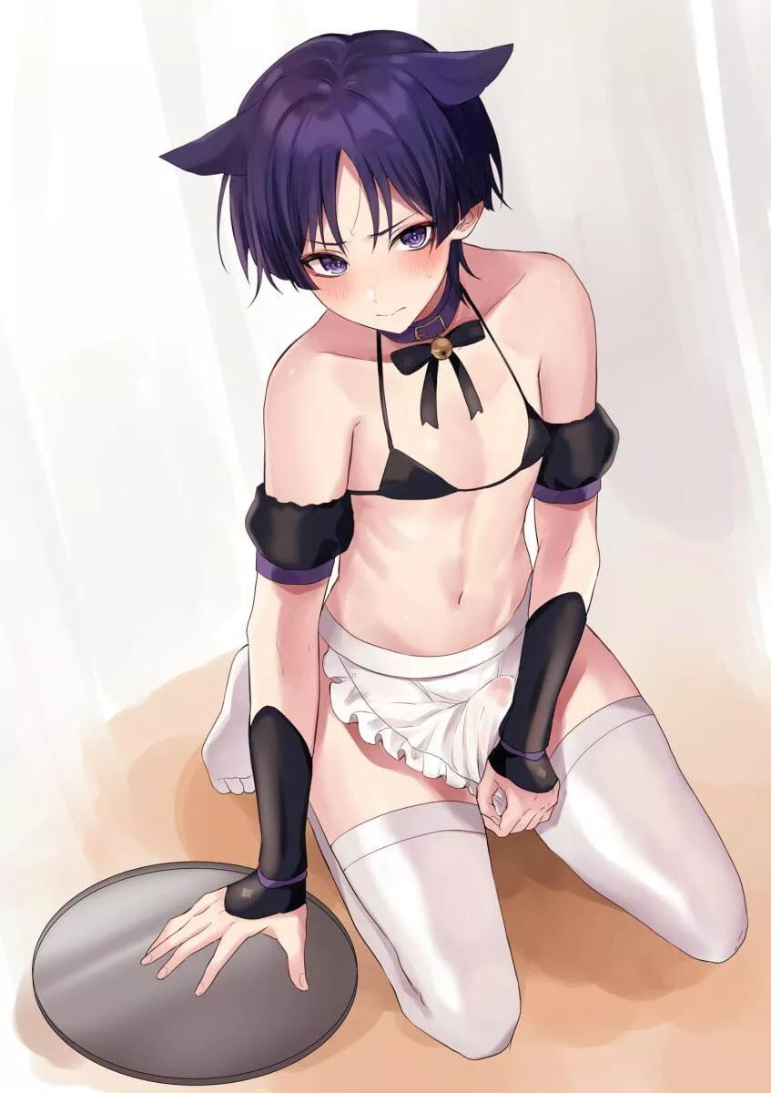 catboy wanderer/scaramouche more is on the way (dosage of kitties 17)