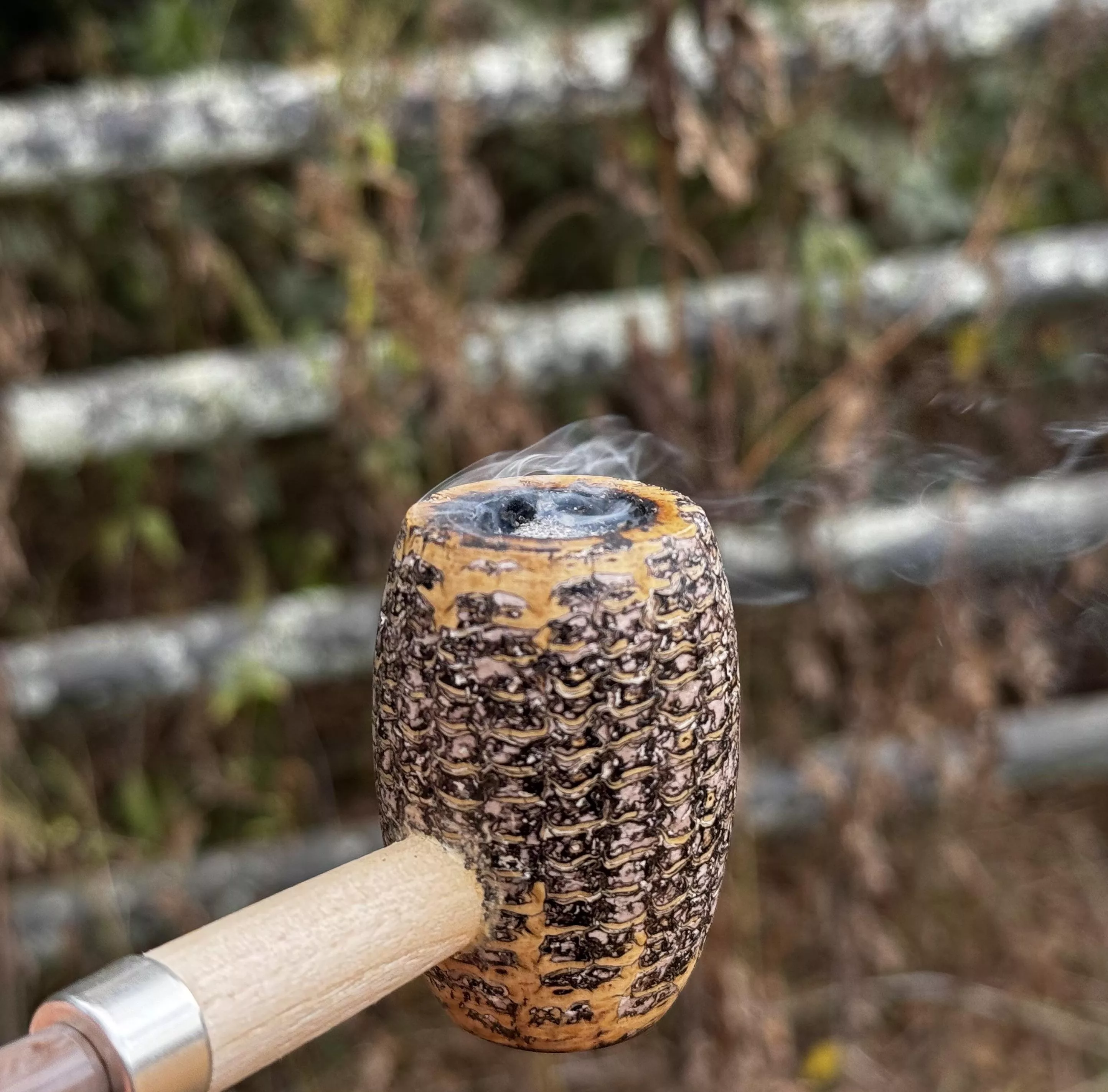 Cobblestone Hiking in my cob