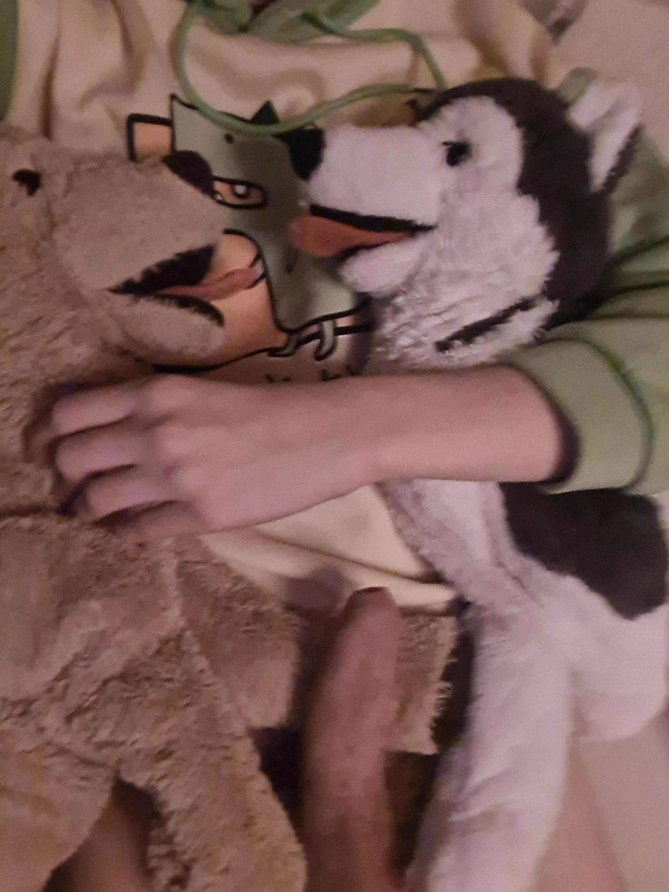 Cuddling with the pups