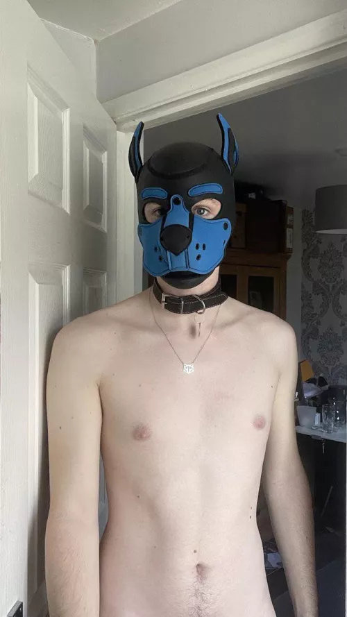 Did someone say “Treat”?